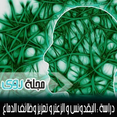 فوائد البقدونس و الزعتر و الكرفس لتعزيز الذاكرة و التعلم