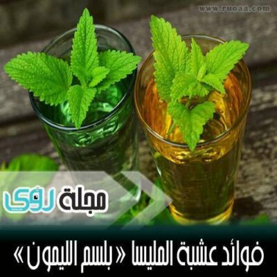 استخدامات و فوائد عشبة المليسا ( بلسم الليمون )