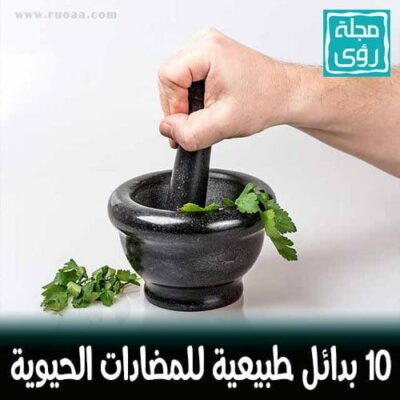 10 بدائل طبيعية للمضادات الحيوية