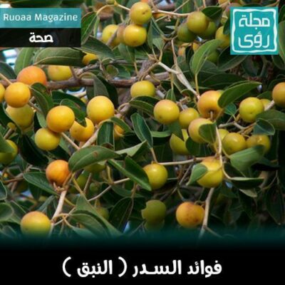 فوائد السدر (النبق)