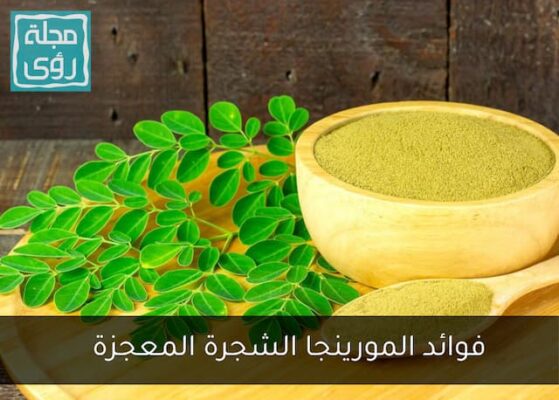 فوائد شجرة المورينجا Moringa Oleifera