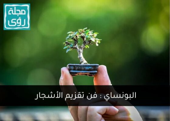 البونساي: فن تقزيم الأشجار