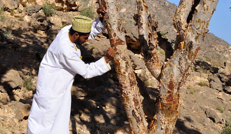 مزارات عمان السياحية: مسارات غير تقليدية 10