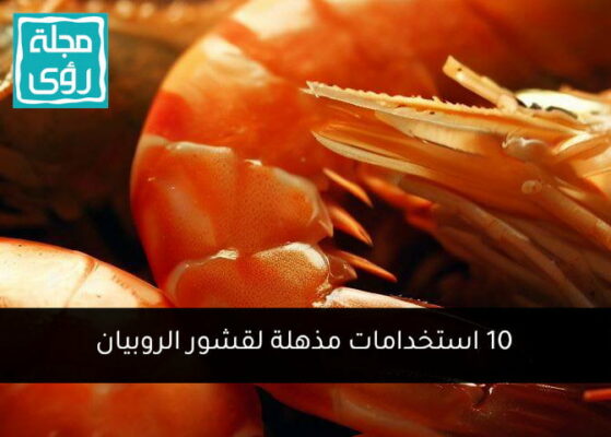 10 استخدامات مفيدة لقشور الروبيان والجمبري