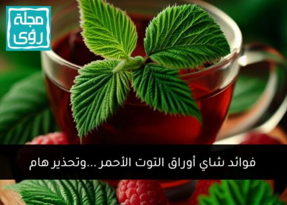 فوائد وأضرار شاي أوراق التوت الأحمر (العليق) للنساء